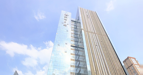 com二级不死域名备案查询