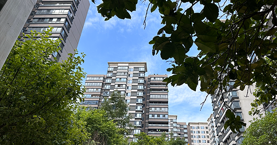 com老域名备案查询qq