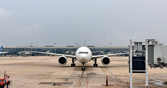 国外com域名查询官网网址